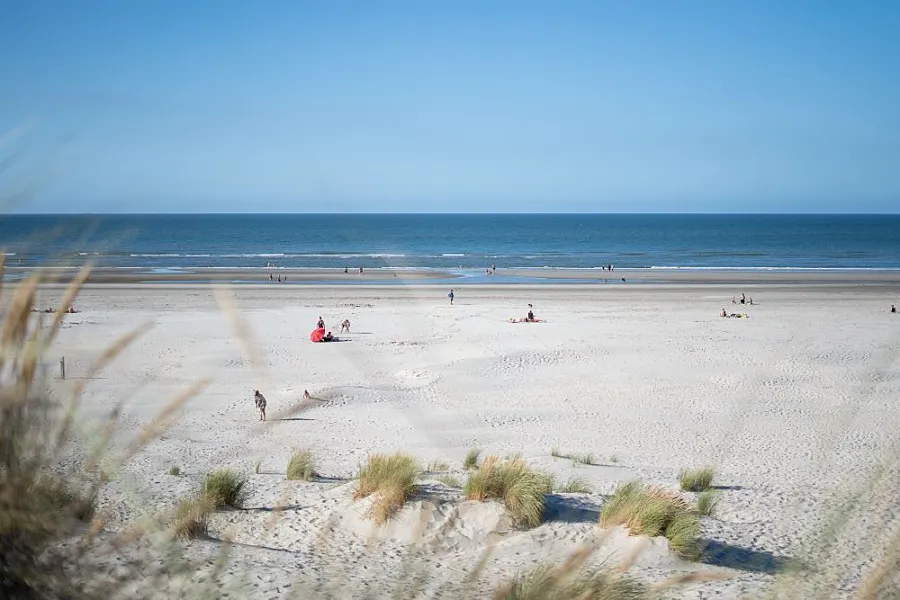 Waddenzee duinoord