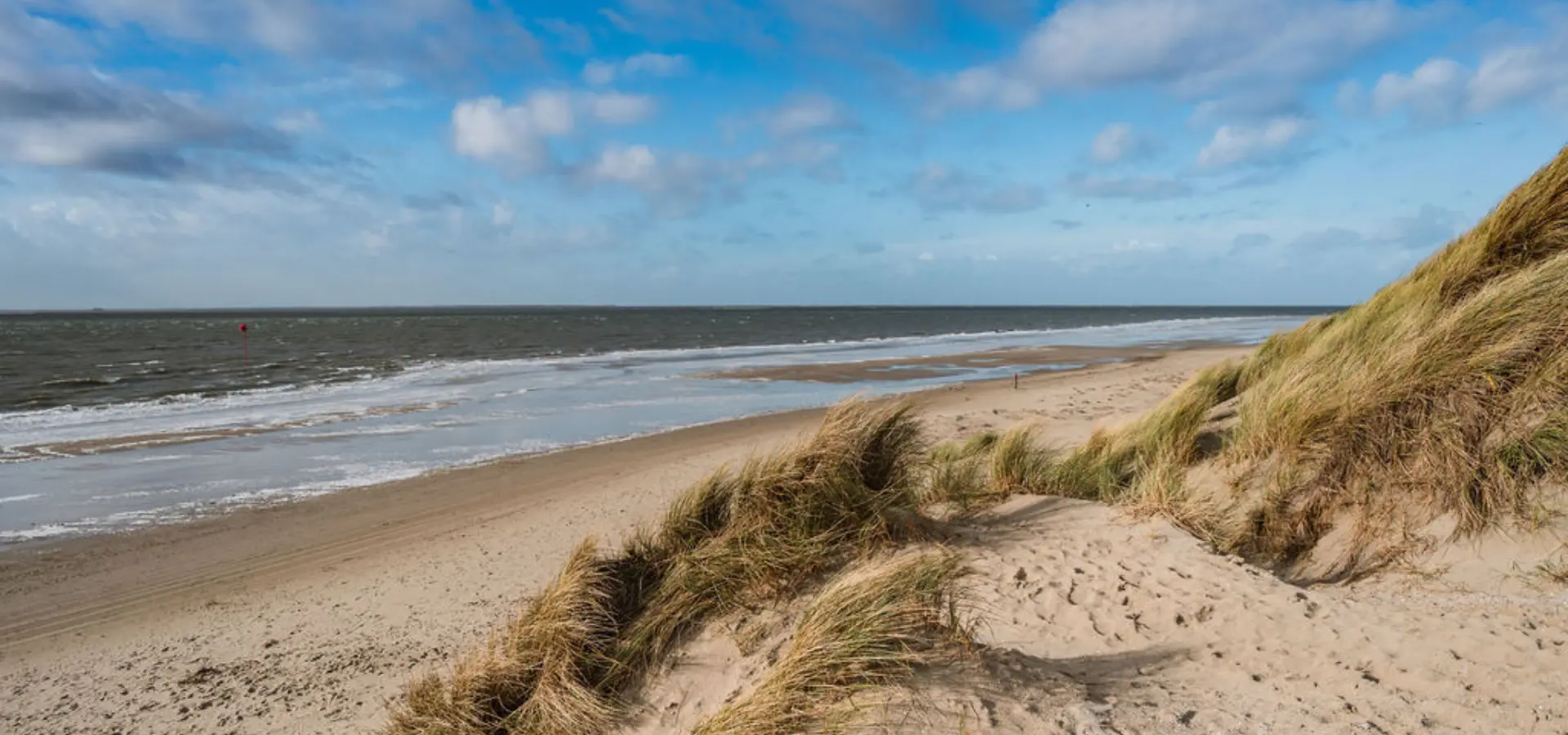 Vvv ameland strand duinen