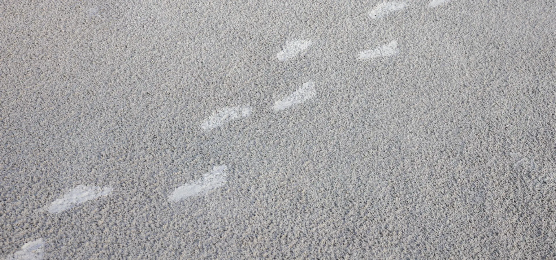 Droomactie Duinoord voeten op strand