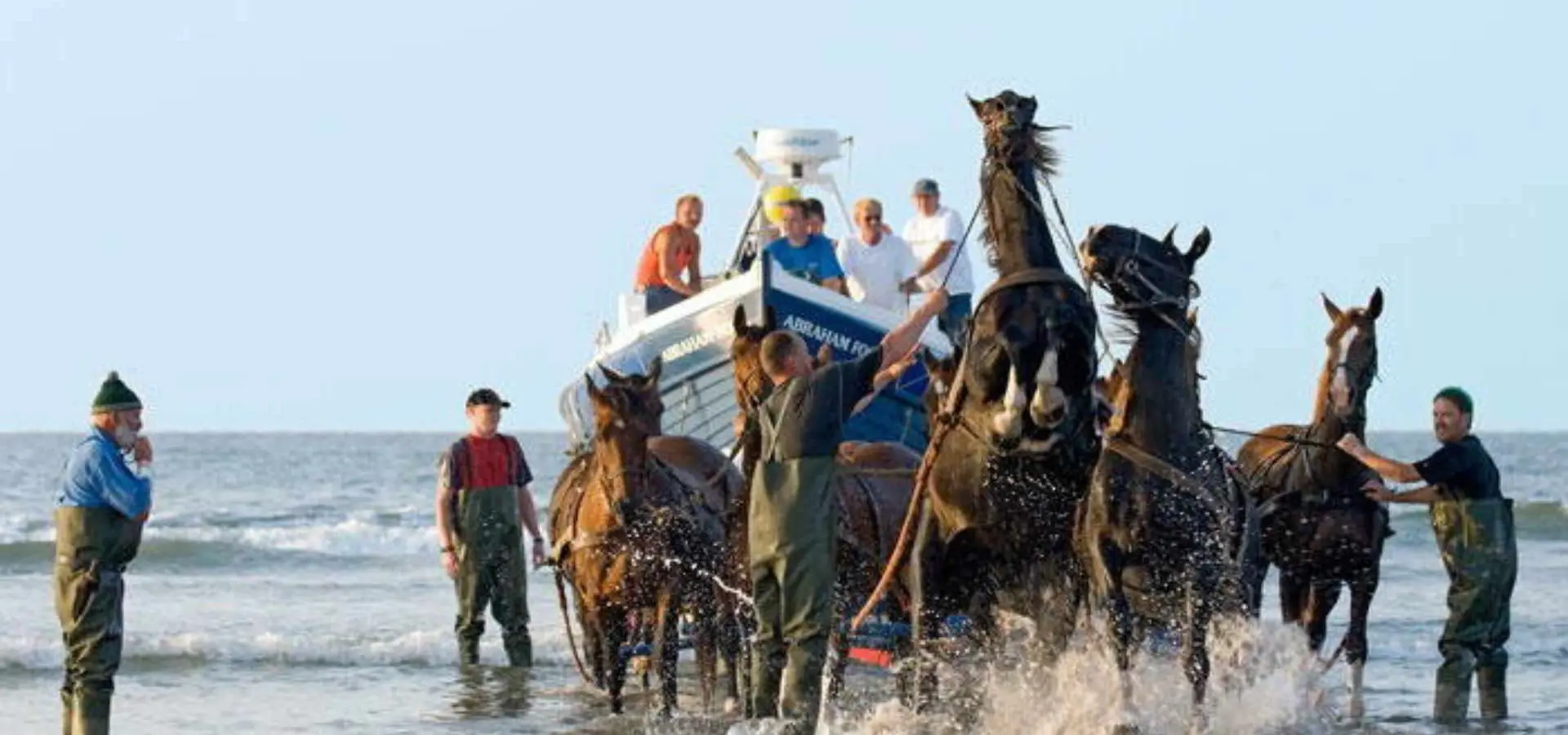 Paardenreddingboot Ameland paarden