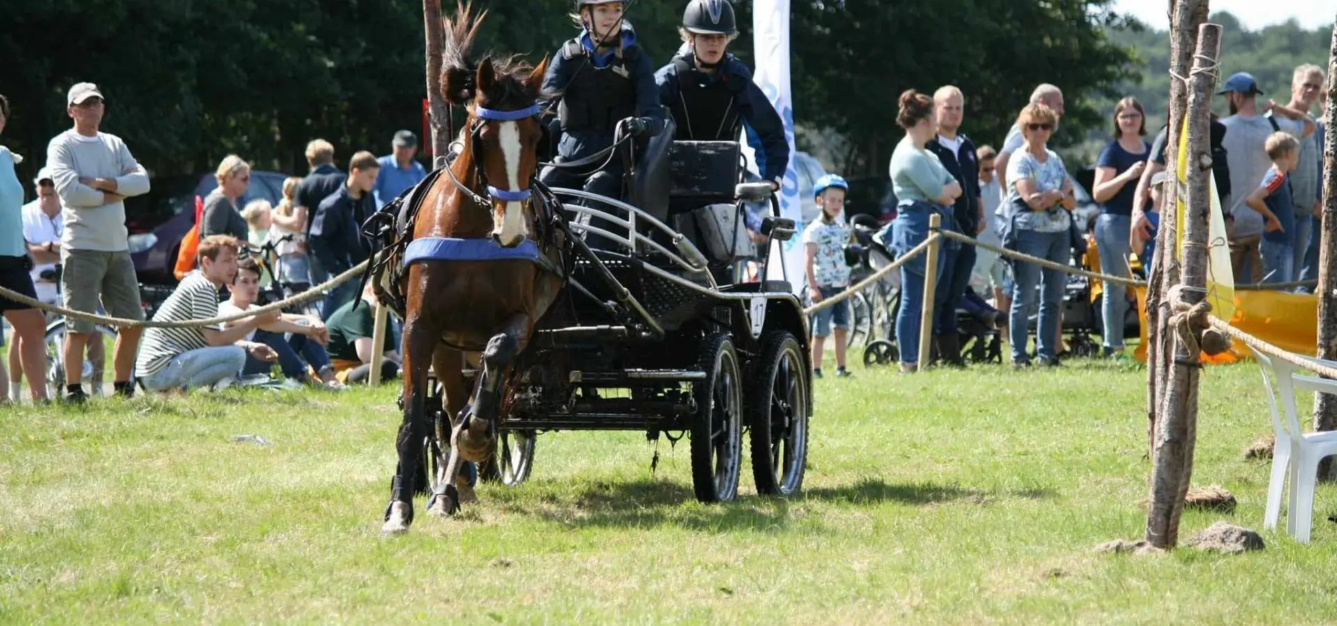 Paarden marathon ameland hindernis