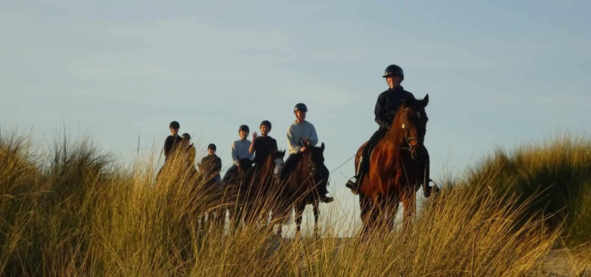 Paardrijden duinen strand