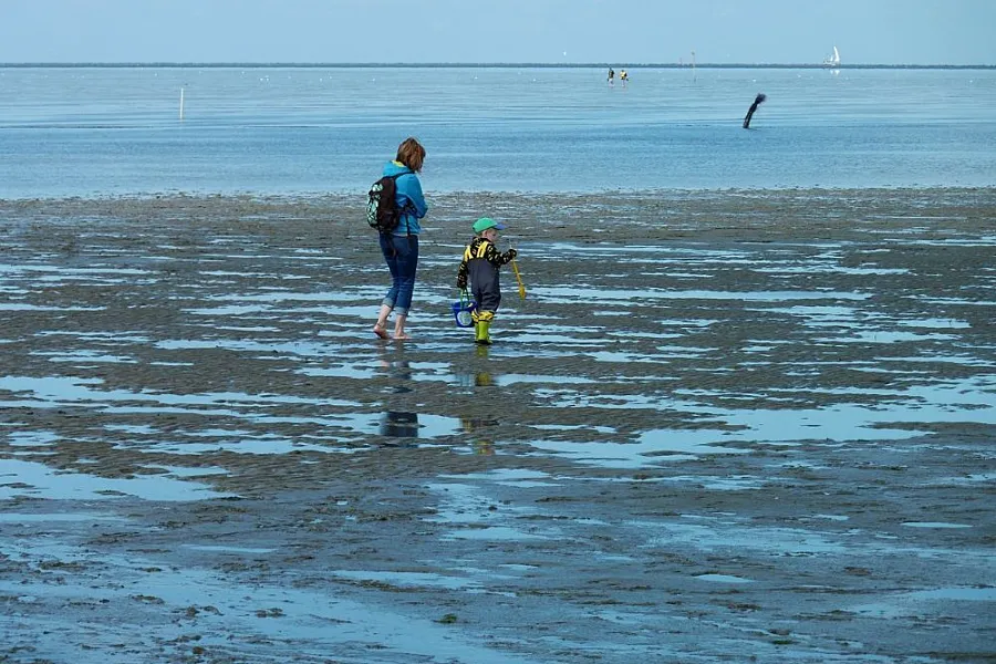 Camping in holland an der nordsee wattwandern