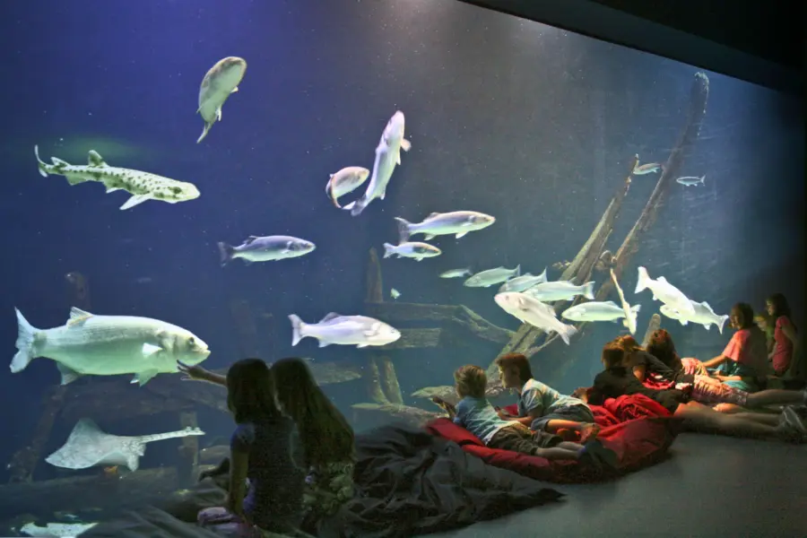 Natuurcentrum Ameland in Nes